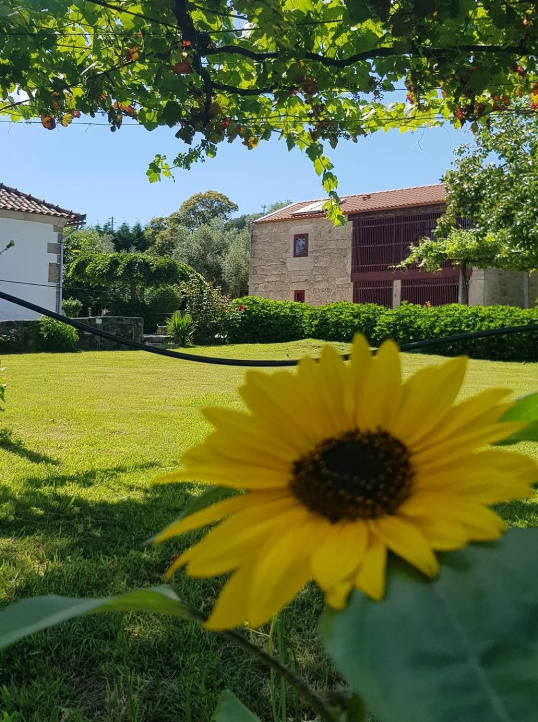 Casas Da Quinta Da Cancela Balugaes ภายนอก รูปภาพ
